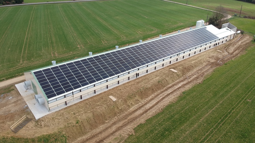 Construction d’un bâtiment avicole équipé de panneaux solaires